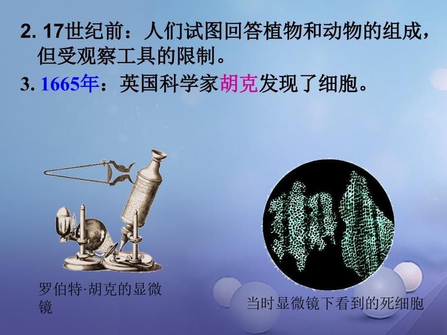 浙江省温州市苍南县龙港镇七年级科学上册 2.2.1 细胞课件 （新）浙教_第5页