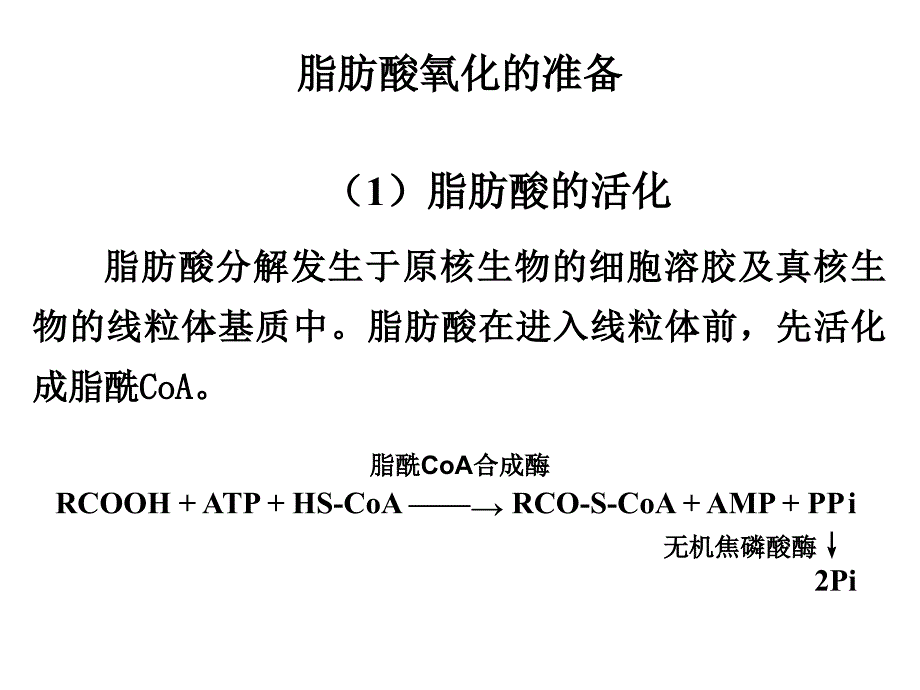 17生化b脂类代谢_第4页