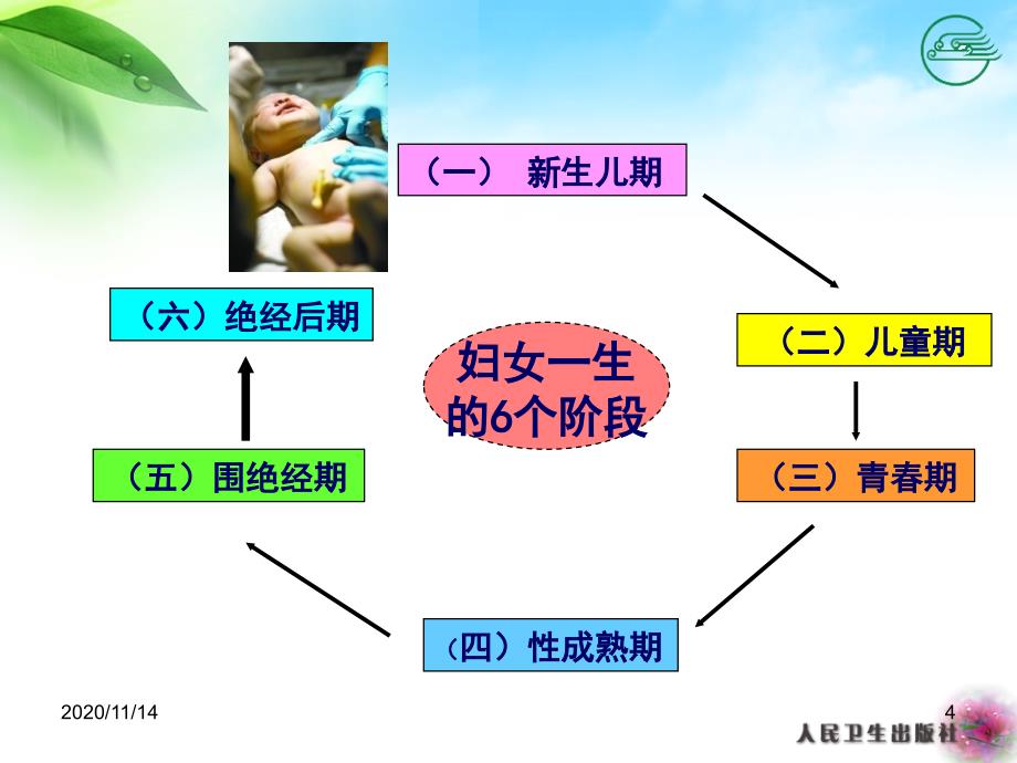 女性生殖系统生理与经期保健护理课件_第4页