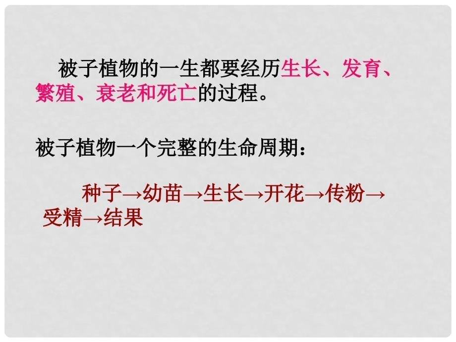 四川省江油市明镜中学九年级生物 《第二章 被子植物的一生》专题复习课件_第5页