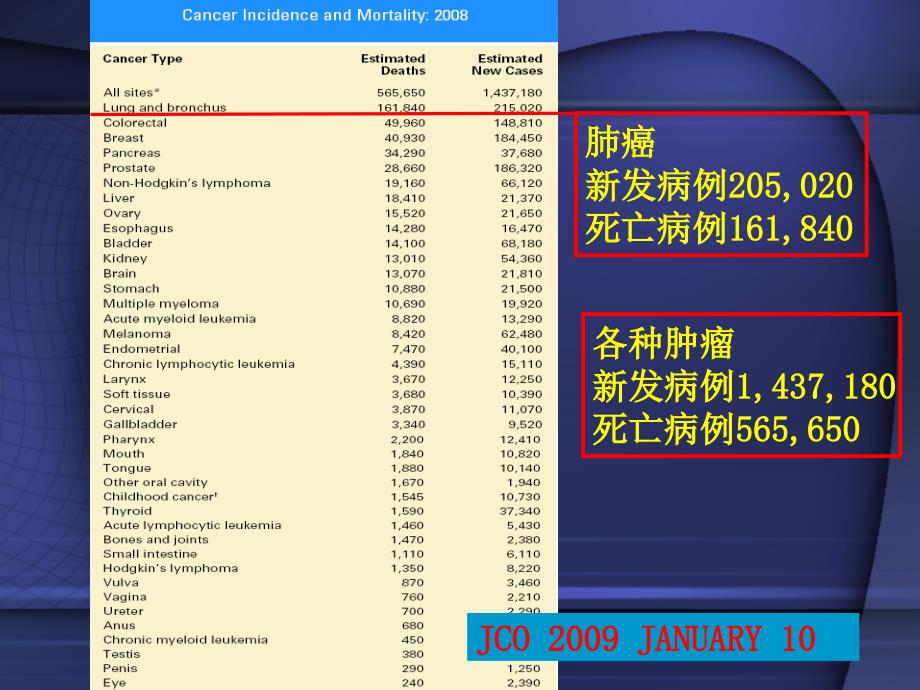 肺癌治疗的现状与展望ppt课件_第4页