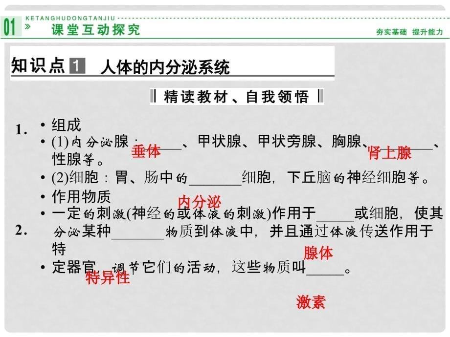 高中生物 23高等动物的内分泌系统与体液调节课件 浙科版必修3_第5页