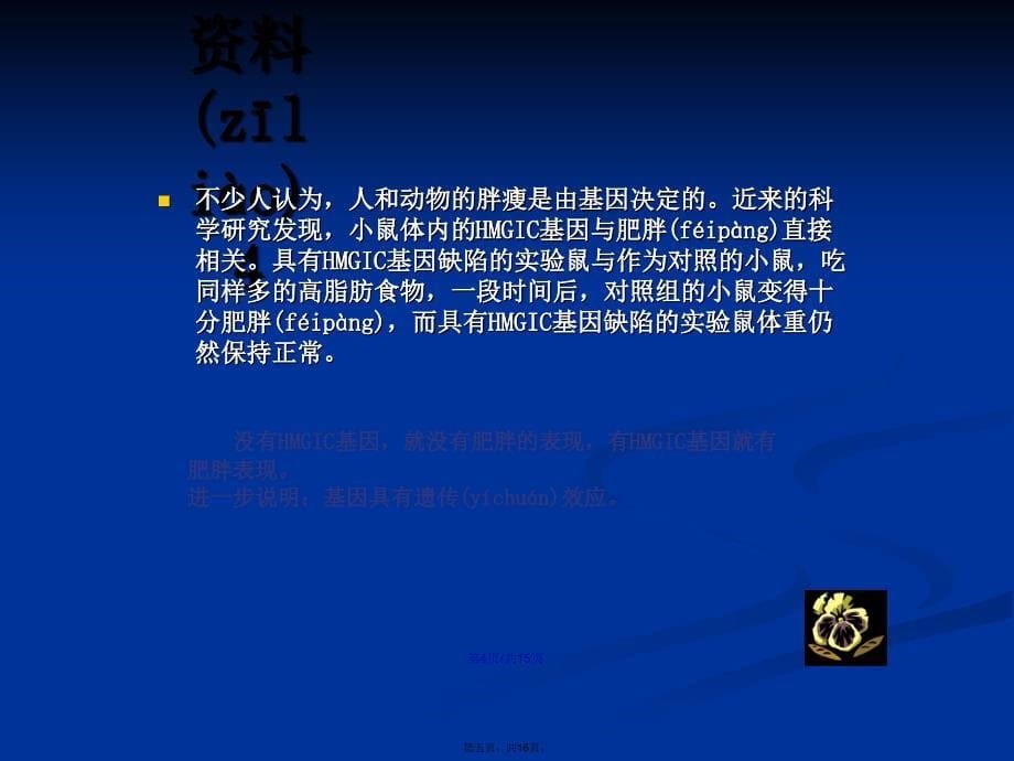 基因是有遗传效应的DNA片段学习教案_第5页