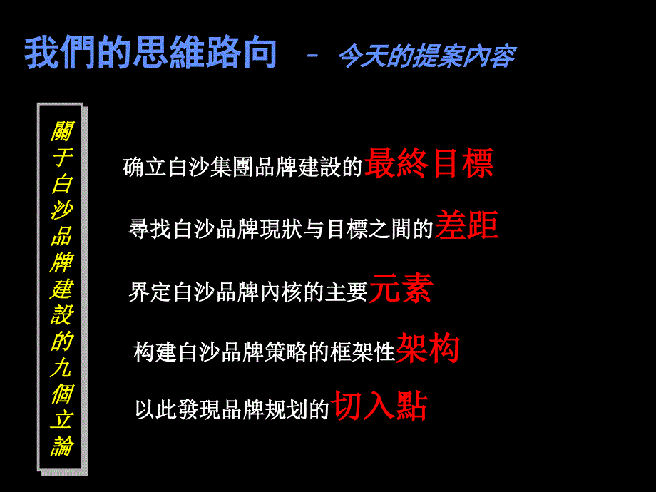 白沙集团市场领导者纲领文件_第4页