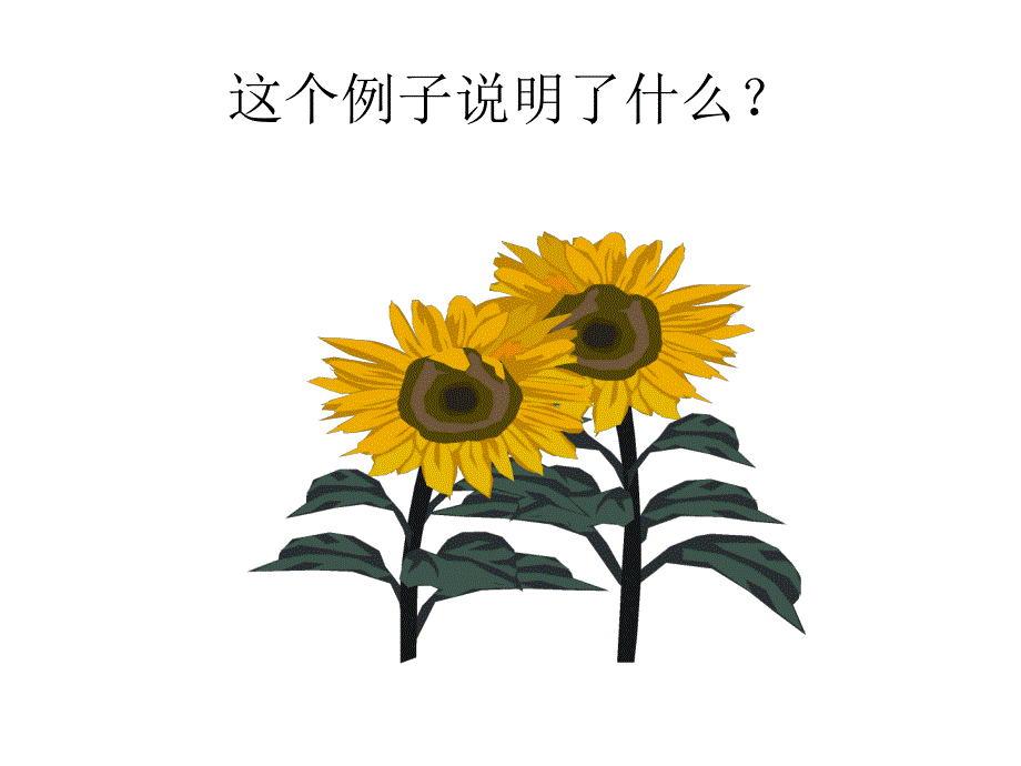 梦想起飞的季节_第2页