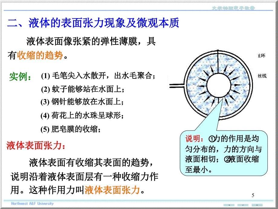 ch液体的表面现象_第5页