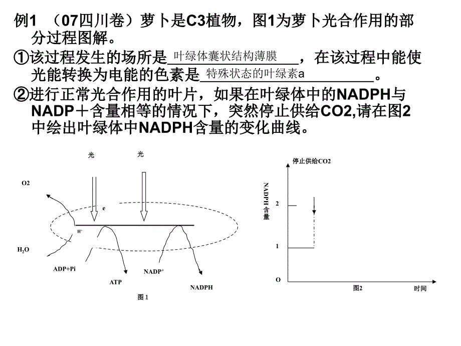 12年高考中光合作用相关考题解析_第3页