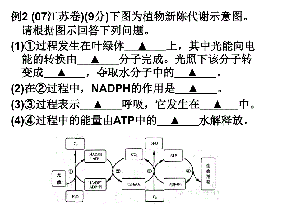 12年高考中光合作用相关考题解析_第4页