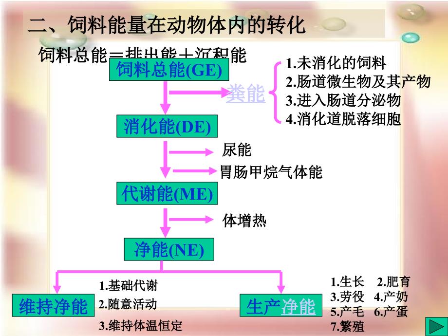 第八章能量与动物营养名师编辑PPT课件_第4页