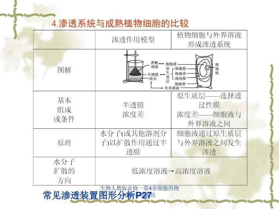 生物人教版必修一第4章细胞的物质输入和输出课件_第5页