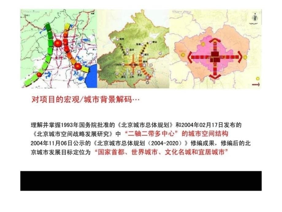 伟业顾问北京市沿海赛洛城项目营销策划_第5页