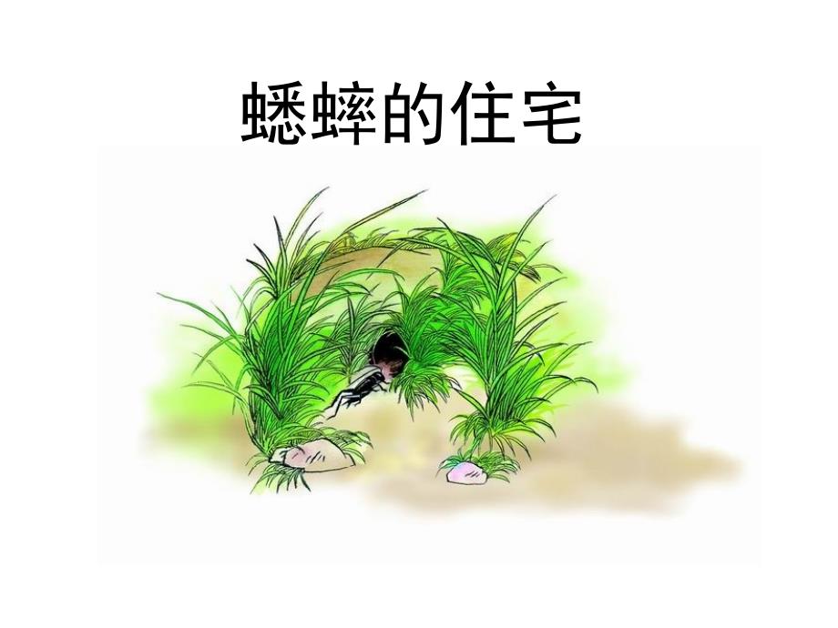 7蟋蟀的住宅 (3)_第1页