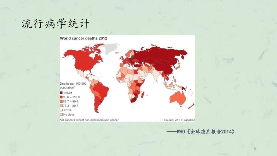 抗肿瘤药物的合理应用基药课件_第5页