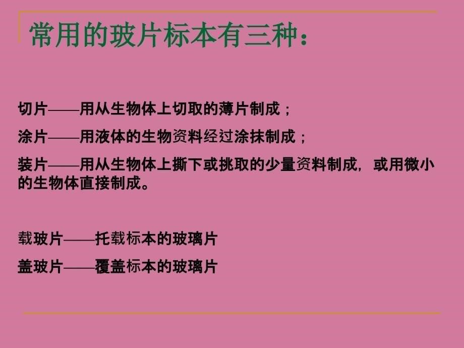 他的操作是否正确ppt课件_第5页