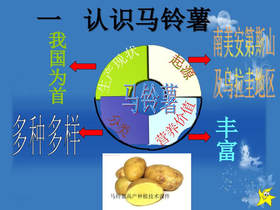 马铃薯高产种植技术课件_第4页