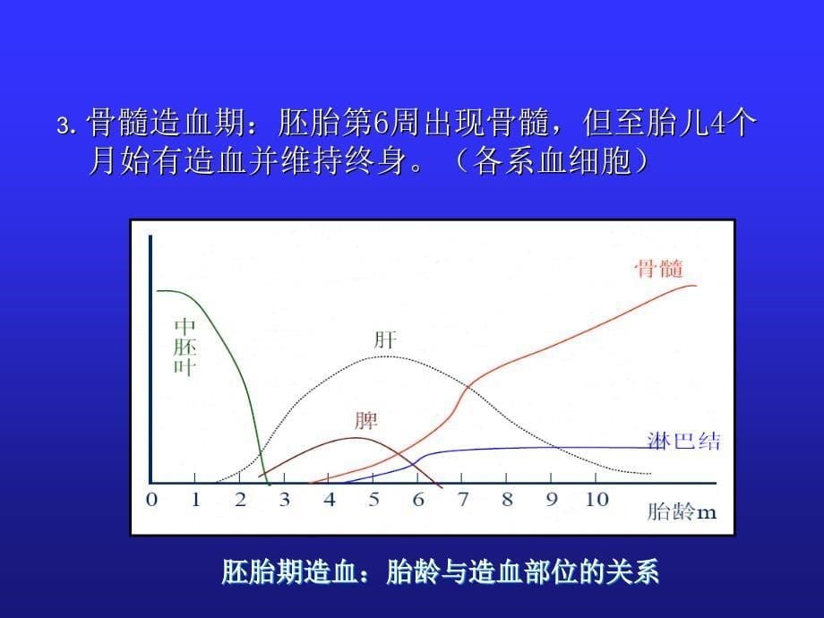 儿童造血和血象特点_第5页