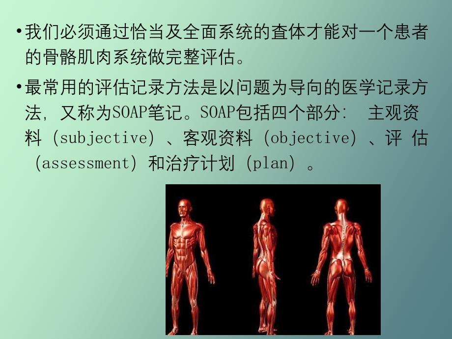 骨科评估的原则与观念_第1页