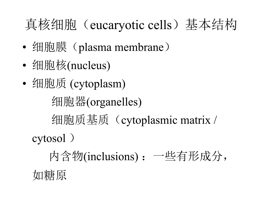 大学细胞生物学第五章细胞的内膜系统课堂PPT_第2页