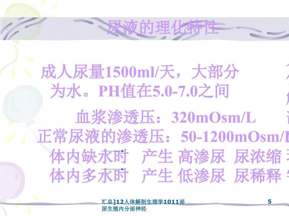 汇总12人体解剖生理学1011泌尿生殖内分泌神经课件_第5页