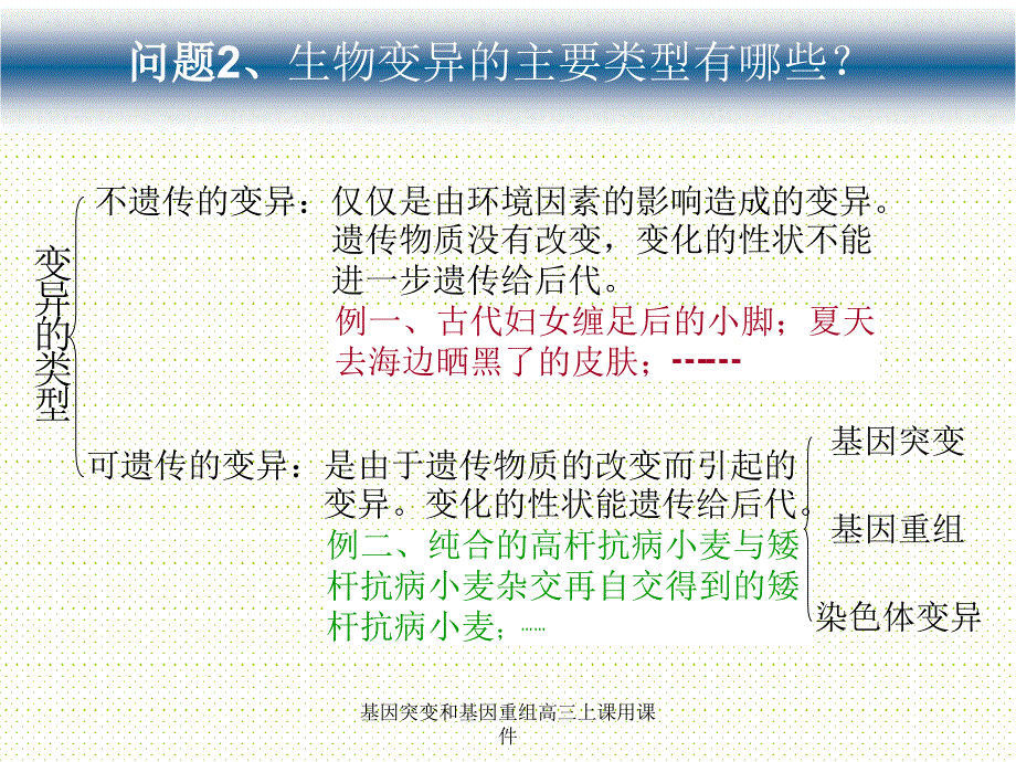 基因突变和基因重组高三上课用课件_第3页