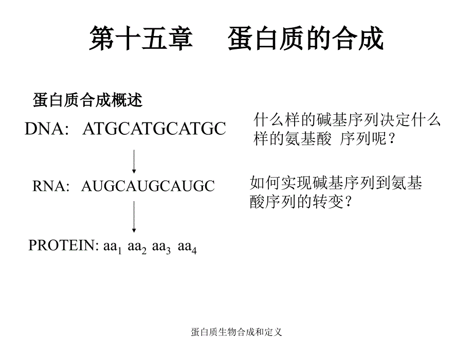 蛋白质生物合成和定义课件_第1页