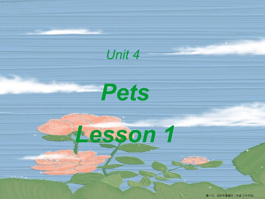 Unit4PetsLesson1课件_第1页