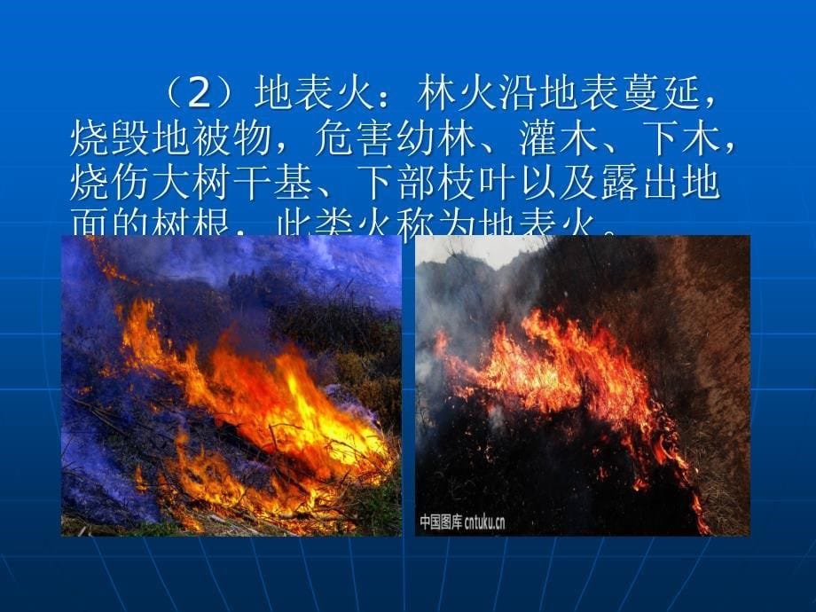 森林防火培训.ppt_第5页