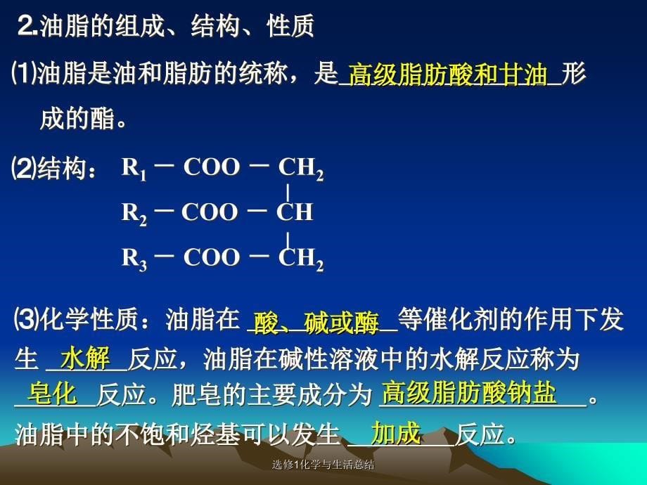 选修1化学与生活总结课件_第5页