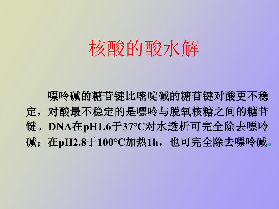 核酸的物理化学性质_第4页