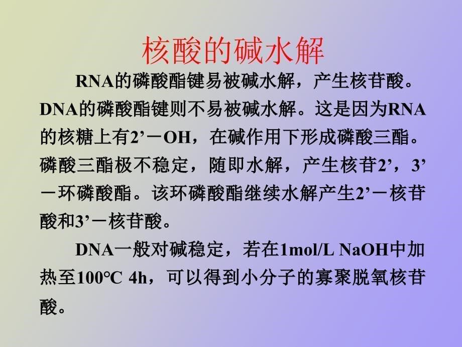 核酸的物理化学性质_第5页