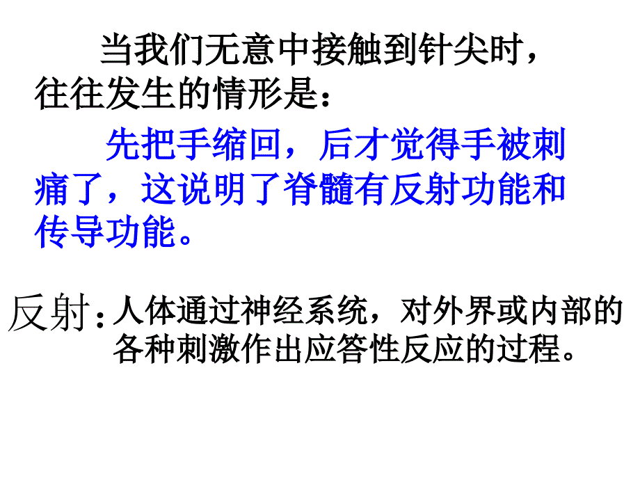 最新33神经调节2PPT文档_第3页