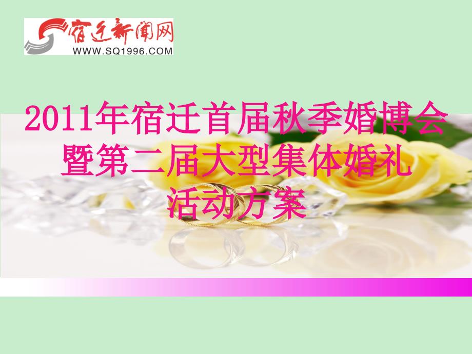 广告策划婚博会活动方案_第1页