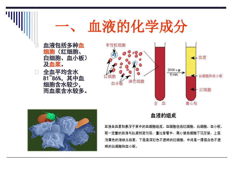 《血液的生物化学》PPT课件.ppt_第3页