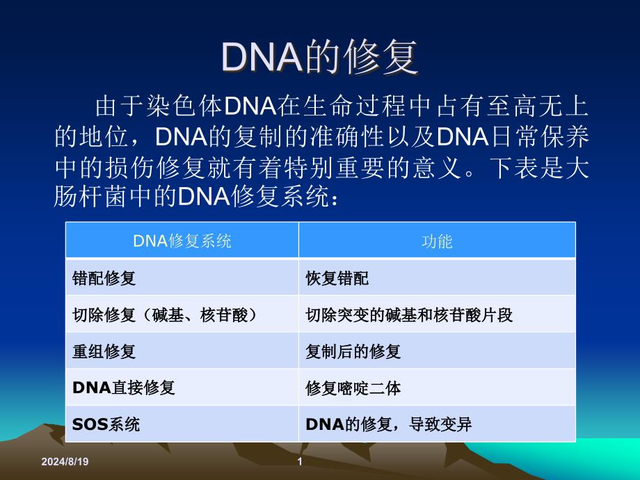 《DNA的修复》PPT课件_第1页