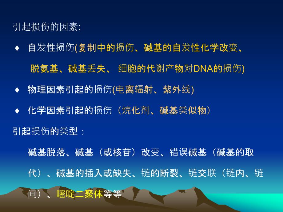 《DNA的修复》PPT课件_第3页