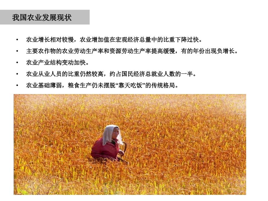 休闲农业产业发展模式研究.ppt_第2页