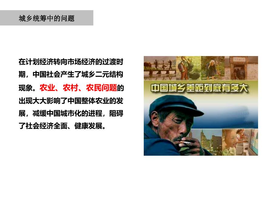 休闲农业产业发展模式研究.ppt_第3页