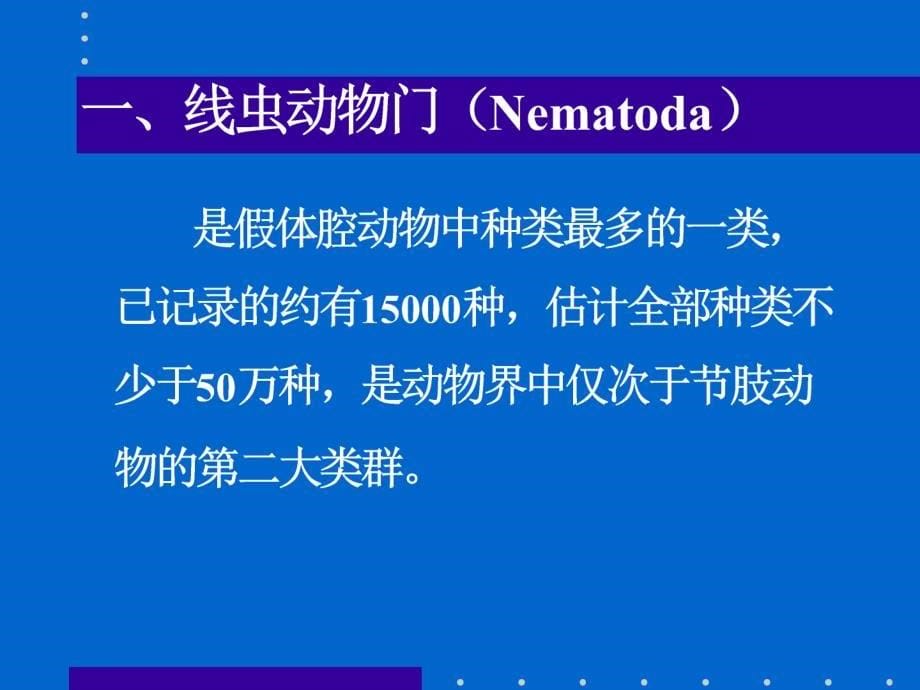 为体内器官系统的发展提供了空间体壁肌肉层及体腔液_第5页