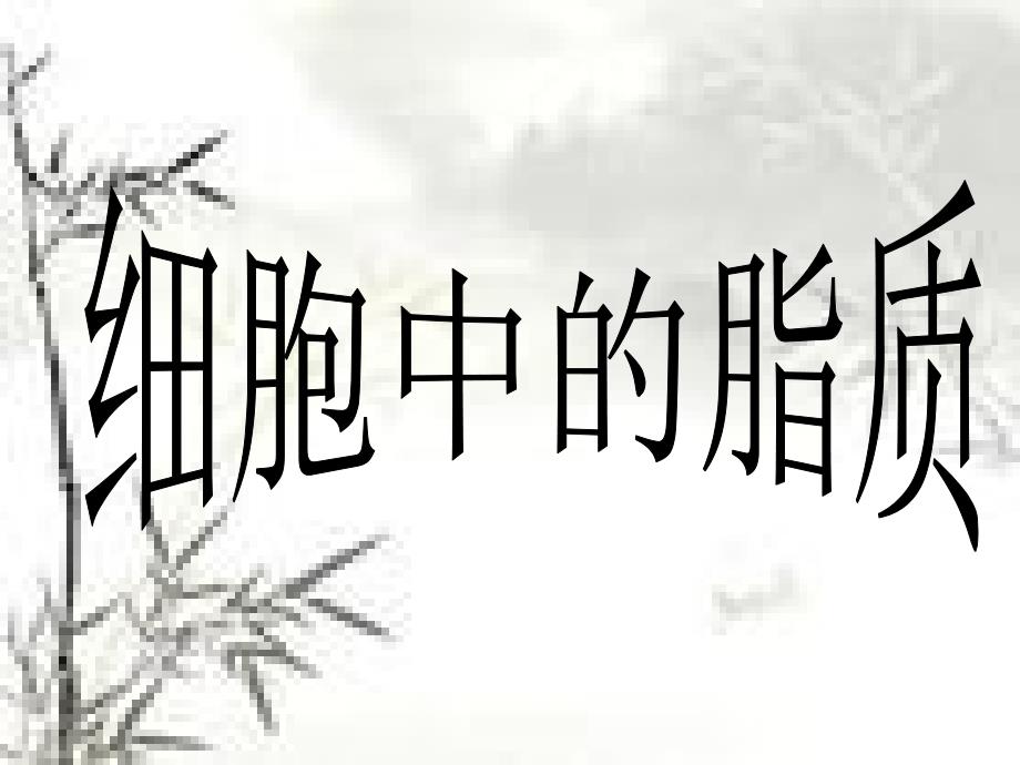 细胞中的脂质_第1页