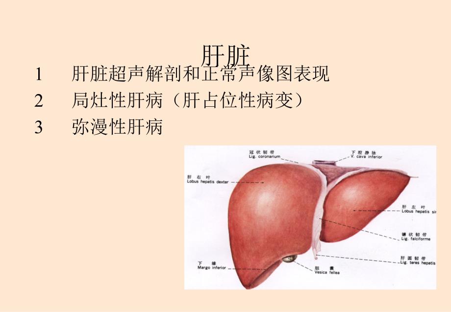 爱爱医资源-超声诊断学——肝胆胰脾_第2页