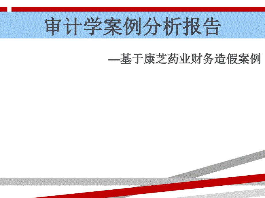 审计案例分析报告课件_第1页