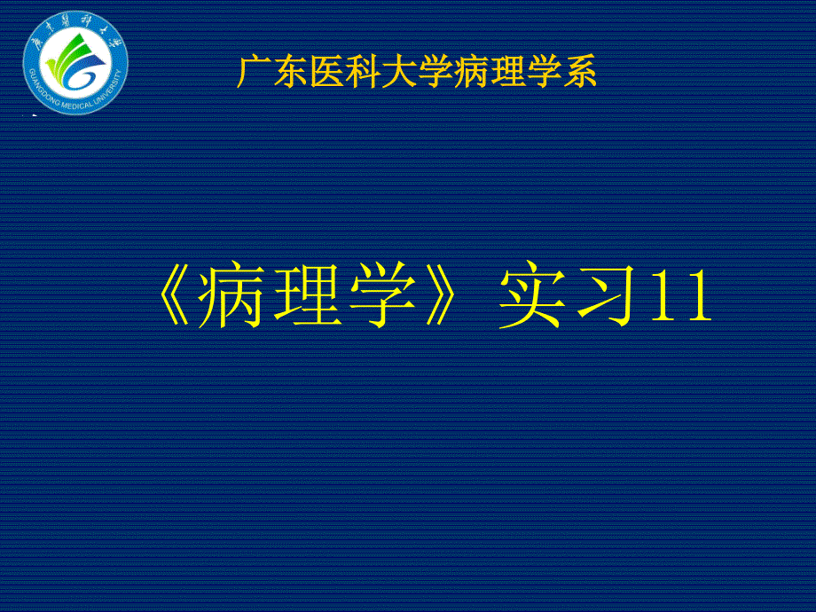 病理学实习课件：实习11_第1页