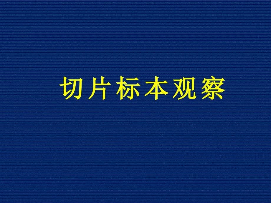 病理学实习课件：实习11_第5页