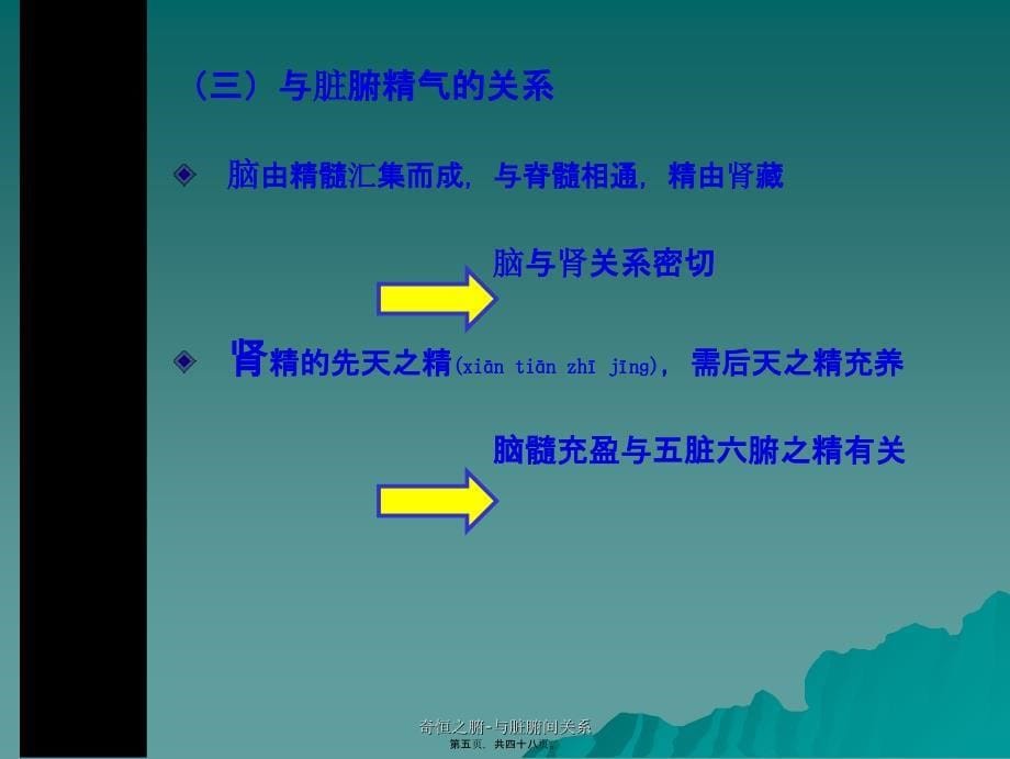 奇恒之腑-与脏腑间关系课件_第5页