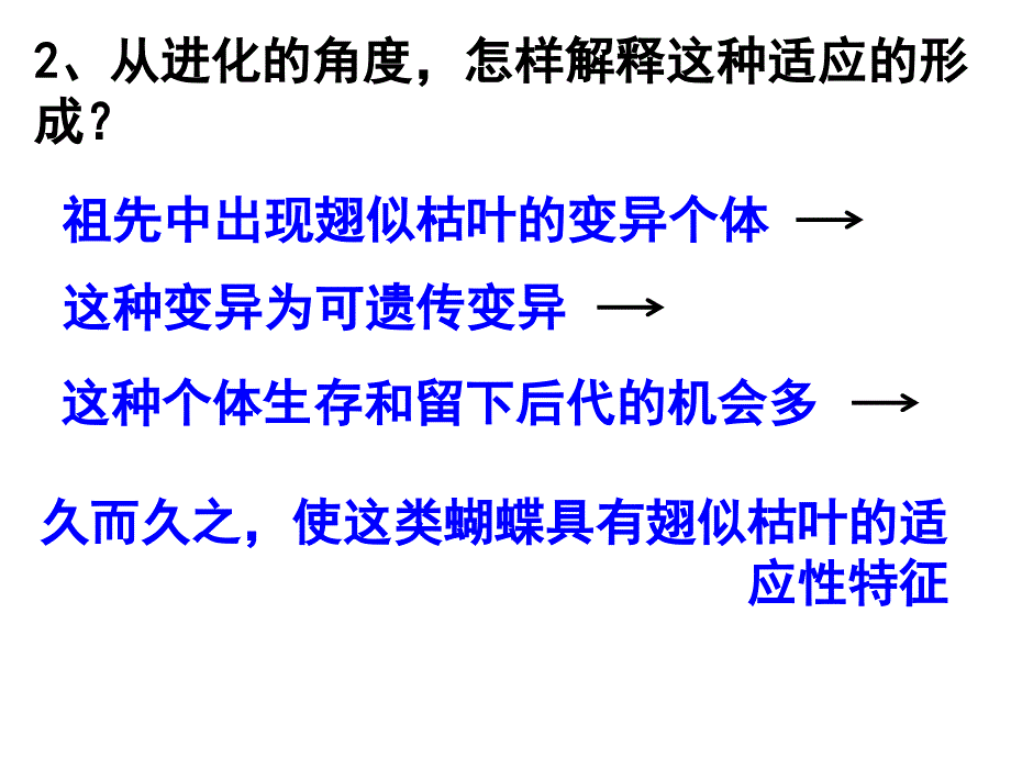 现代生物进化理论的由来上课用_第3页