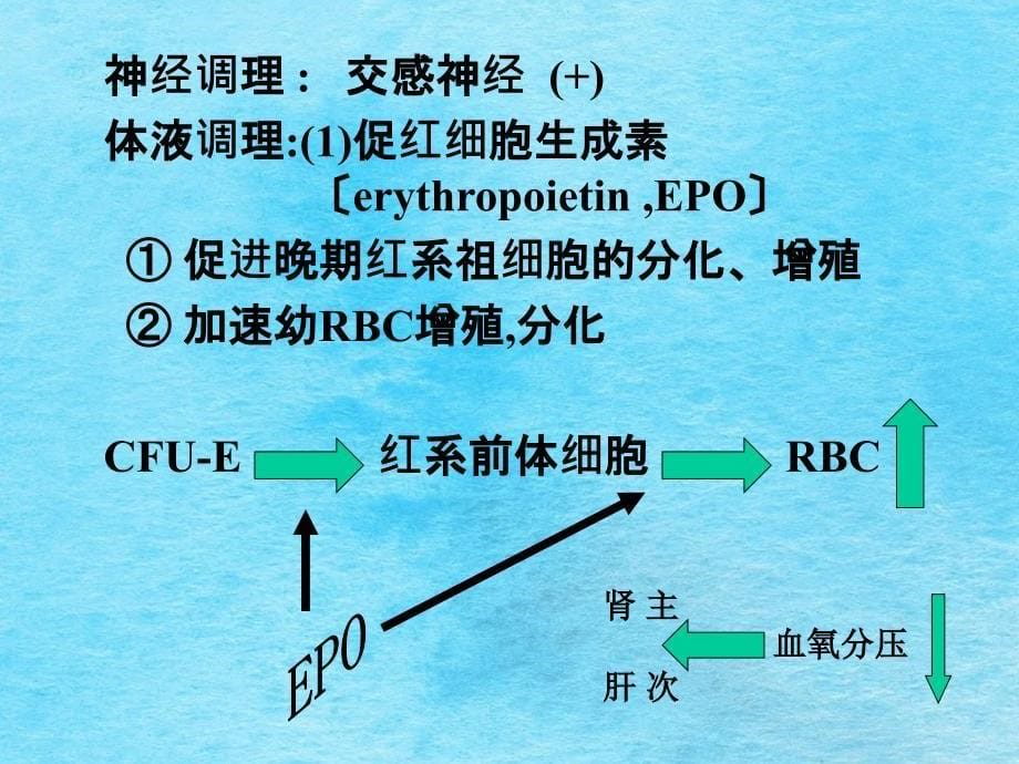 六章节血液ppt课件_第5页