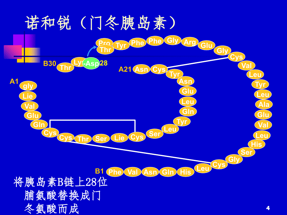 胰岛素的临床应用简介PPT课件_第4页