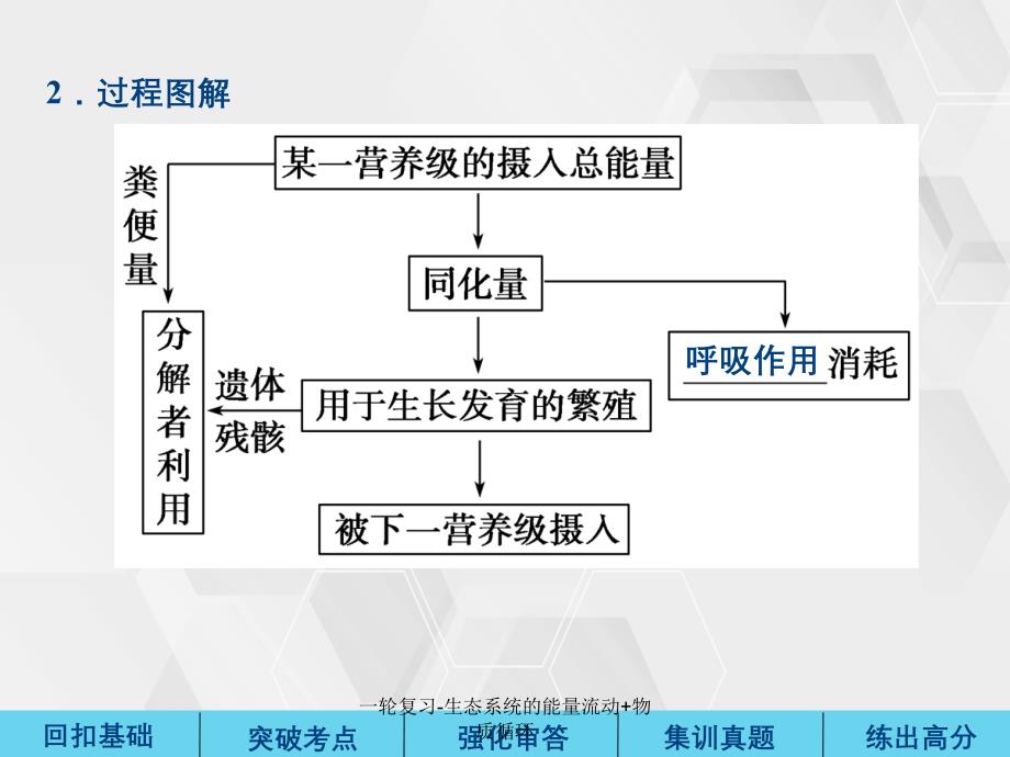 一轮复习生态系统的能量流动物质循环_第4页