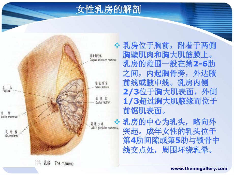 乳腺癌改良根治术护理配合_第3页