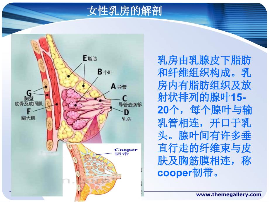 乳腺癌改良根治术护理配合_第4页